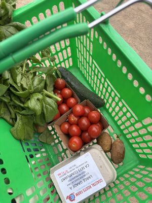 Coastal Roots Farm by null