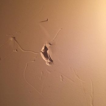 Bolt Moving - Damage by Bolt Moving company - Movers Near Me - Cincinnati, Ohio