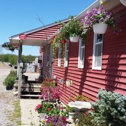 Mayhew's Tree Farm & Nursery