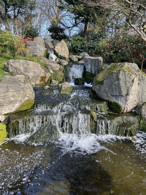 Kyoto Garden by null