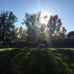 Van Maren Park - Sunshine peeking through the trees