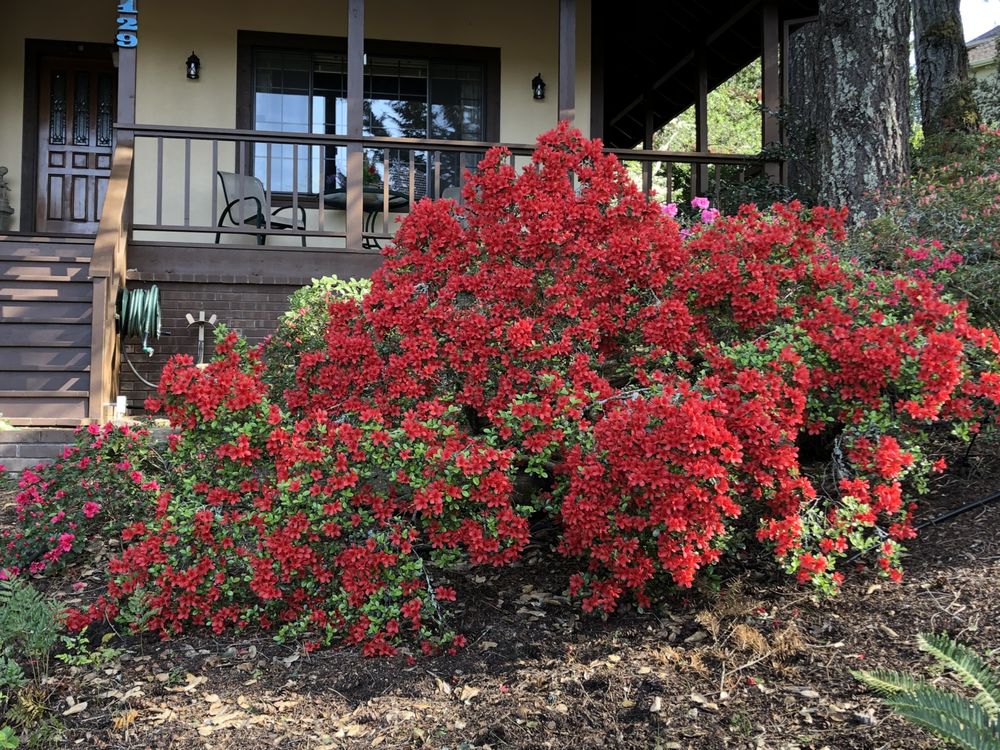 MICHAEL GOLAS LANDSCAPE DESIGN Updated August 2024 Santa Rosa