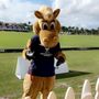 Photo of Palm Beach Polo Golf and Country Club