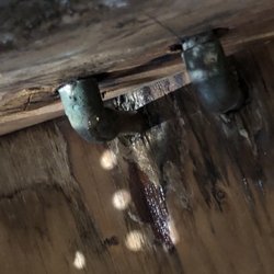 A1 Cleaning & Restoration - Broken Pipe