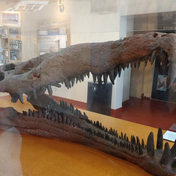 Rainbow Forest Museum And Visitor Center - Museums Near Me - Holbrook, Arizona