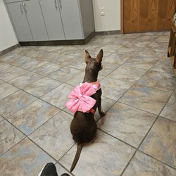 Pet Doctors Animal Clinic