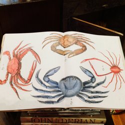 Columbine Home - Under the sea :: Columbine @ Corte Madera