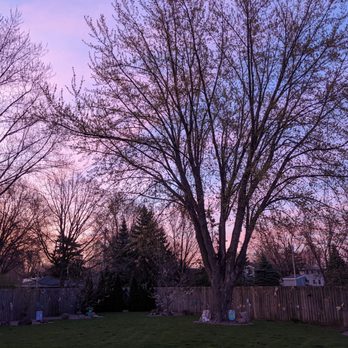 Precision Arborworx - Tree Services Near Me
