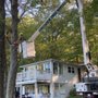 Photo of Brown's Tree Service