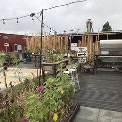 9th Street Village