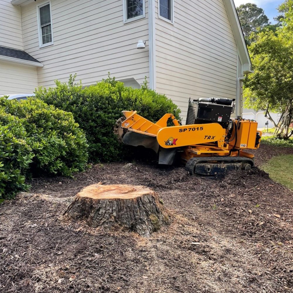 Perez Landscaping & Tree Service - Landscaping Near Me Perez Landscaping & Tree Service - Landscaping Near Me