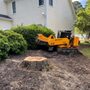 Photo of Perez Landscaping & Tree Service