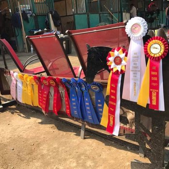 Equine Unlimited - Horseback Riding Near Me - Rescue, California