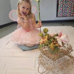 Philadelphia Studio Ballet - Little Ballerinas - our youngest division
