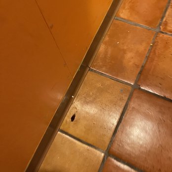 Mexico Lindo - Cockroach - Mexican Near Me - Myrtle Beach, South Carolina