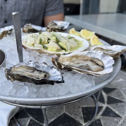 Billingsgate - Oysters and scallop ceviche