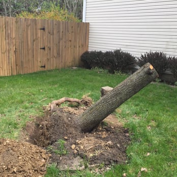MRB Tree Service - Tree Services Near Me - Dayton, Ohio MRB Tree Service - Tree Services Near Me - Dayton, Ohio
