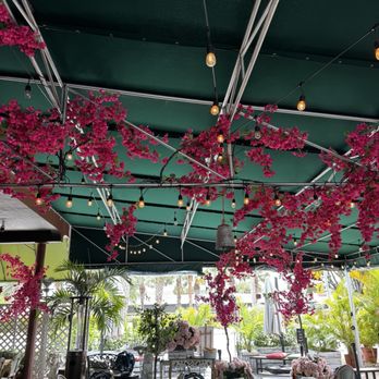 Bulegreen Cafe Yard - Cafes Near Me - Oakland Park, Florida Bulegreen Cafe Yard - Cafes Near Me - Oakland Park, Florida
