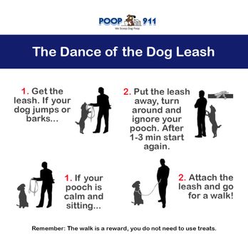 POOP 911 - Pet Waste Removal Near Me POOP 911 - Pet Waste Removal Near Me