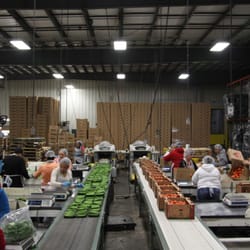 United Fruit and Produce - Monroe Packing Facility at United Fruit and Produce