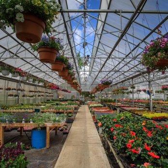 Stokes Farm - GreenHouse - CSA Near Me - Old Tappan, New Jersey