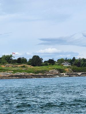 Eagle Wing Whale & Wildlife Tours by null