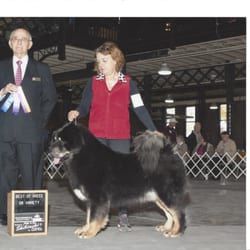 Rysher Farms - Beautiful Rysher's Bold Ruler going Best of Breed!