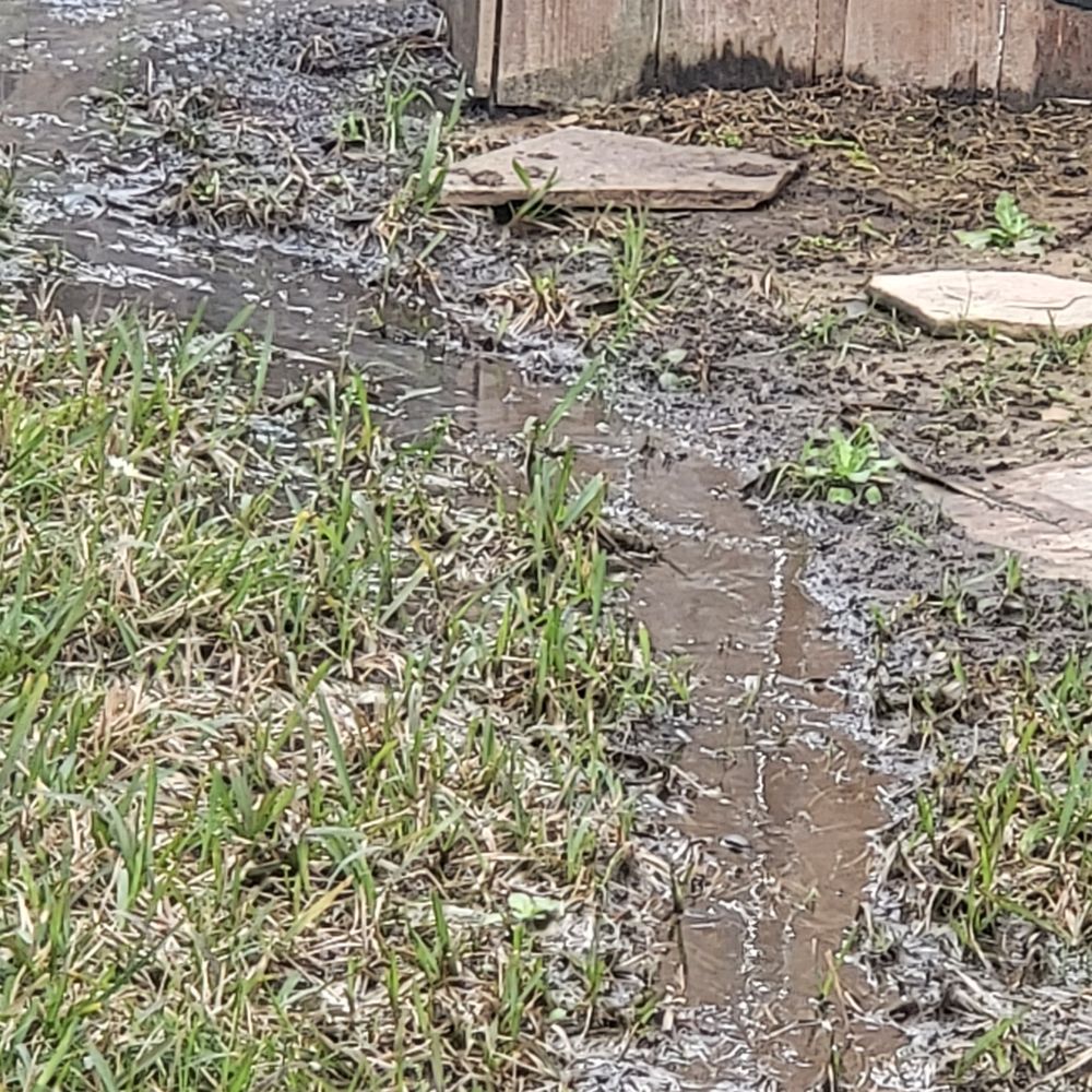 Lone Wolf Pools - Condensation! - Pool & Hot Tub Service Near Me