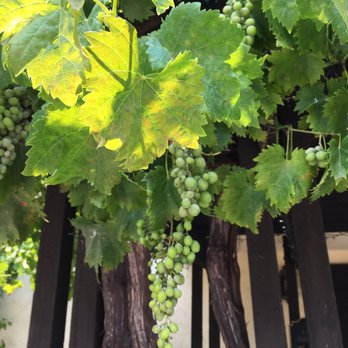 G V Cellars - Wineries Near Me - Fairfield, California