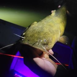 Walts Bait And Tackle