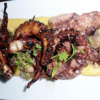 Zaytinya - Octopus Santorini - Greek Near Me - Washington, DC, District of Columbia Zaytinya - Octopus Santorini - Greek Near Me - Washington, DC, District of Columbia