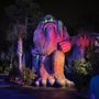 Photo of Swampy Jack's Wongo Adventure