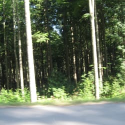 Naturpark Bayr. Wald / Märchenwald  Vogel