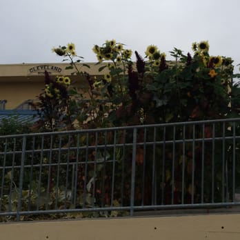 Cleveland Elementary School - The sunflower garden at Cleveland School. - Elementary Schools Near Me - Oakland, California Cleveland Elementary School - The sunflower garden at Cleveland School. - Elementary Schools Near Me - Oakland, California