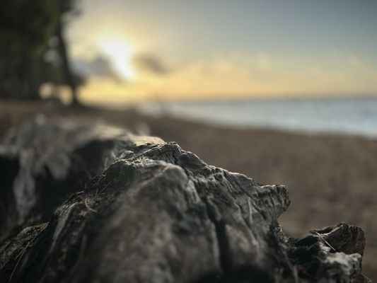 Kauai Shores Hotel by null