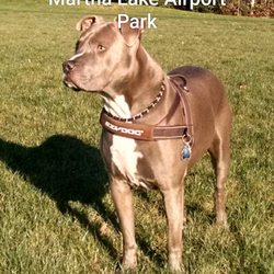Martha Lake Airport Park - Loves the park