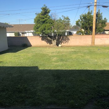 H & E Tree Service - Before - Tree Services Near Me