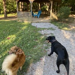 Sawyer Dog Park