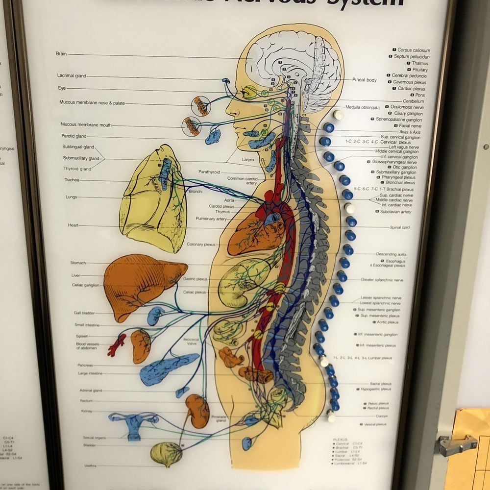 Bardonia Chiropractic Ofc - Chiropractors Near Me - Nanuet, New York Bardonia Chiropractic Ofc - Chiropractors Near Me - Nanuet, New York