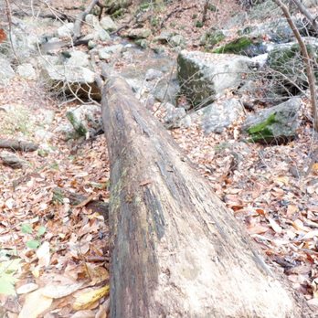 Patapsco State Park - Avalon Area - Parks Near Me - Halethorpe, Maryland