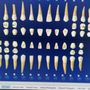 Lake Britt Dental Care
