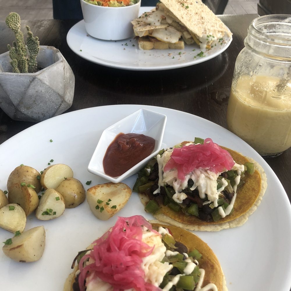 The Pitted Date - Vegan Near Me - Playa del Carmen, ROO