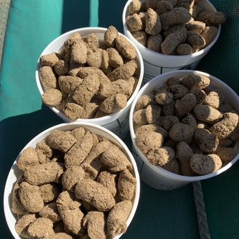 Global Wildlife Center - Cups of feed - Zoos Near Me - Folsom, Louisiana
