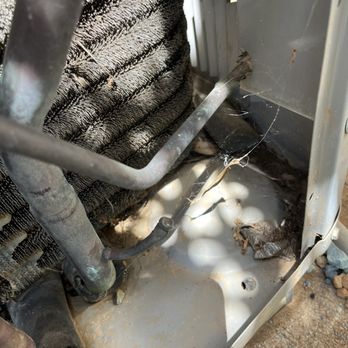 Bonney Plumbing - Snake skin not removed right bottom corner. - Plumbing Near Me - Rancho Cordova, California