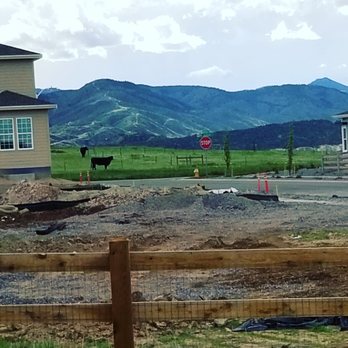 Sterling Ranch - We hear cows mooing from our back deck. This land will eventually be Burns Park (a regional park). - Home Developers Near Me - Littleton, Colorado Sterling Ranch - We hear cows mooing from our back deck. This land will eventually be Burns Park (a regional park). - Home Developers Near Me - Littleton, Colorado