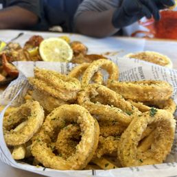 Calamari Calamari