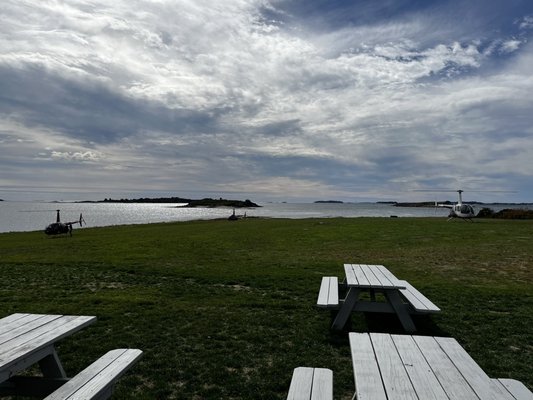 Dolphin Marina & Restaurant by null