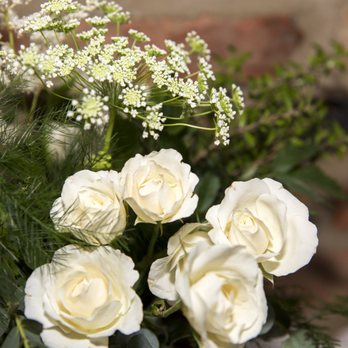 North Suburban Flower Company - Florists Near Me - Des Plaines, Illinois North Suburban Flower Company - Florists Near Me - Des Plaines, Illinois