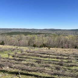 View View