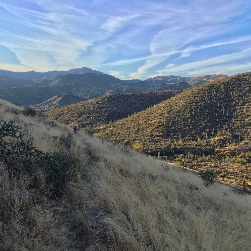 Tonto National Forest - Parks Near Me Tonto National Forest - Parks Near Me